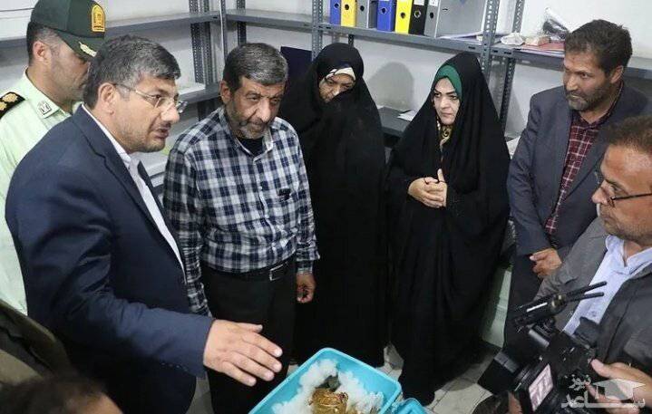 جام زرین باستانی